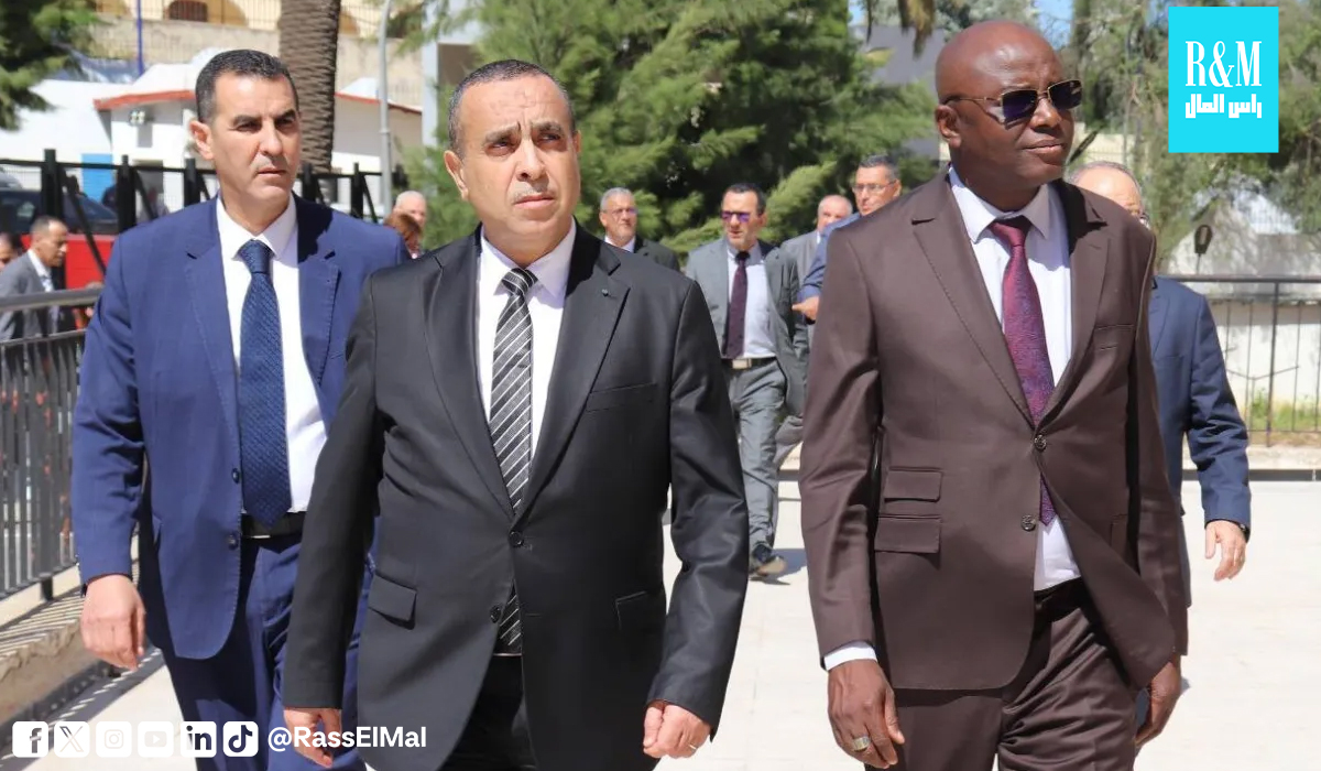 Algeria's Sonelgaz to Launch 40 MW Power Plant Project in Chad